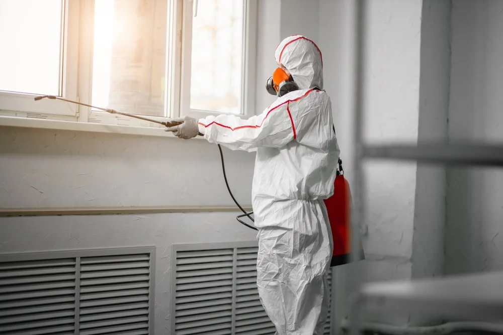 Professional mold remediation services in East Rochester, NY
